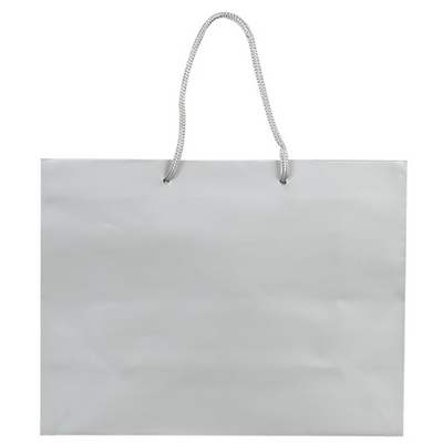 Bags/Totes