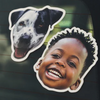 Car Window Sticker