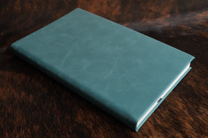 Journal