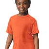 Gildan Softstyle YOUTH 6400BGL